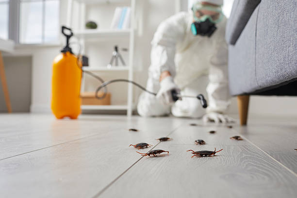 Commercial Kitchen Cockroach Control in Toppenish